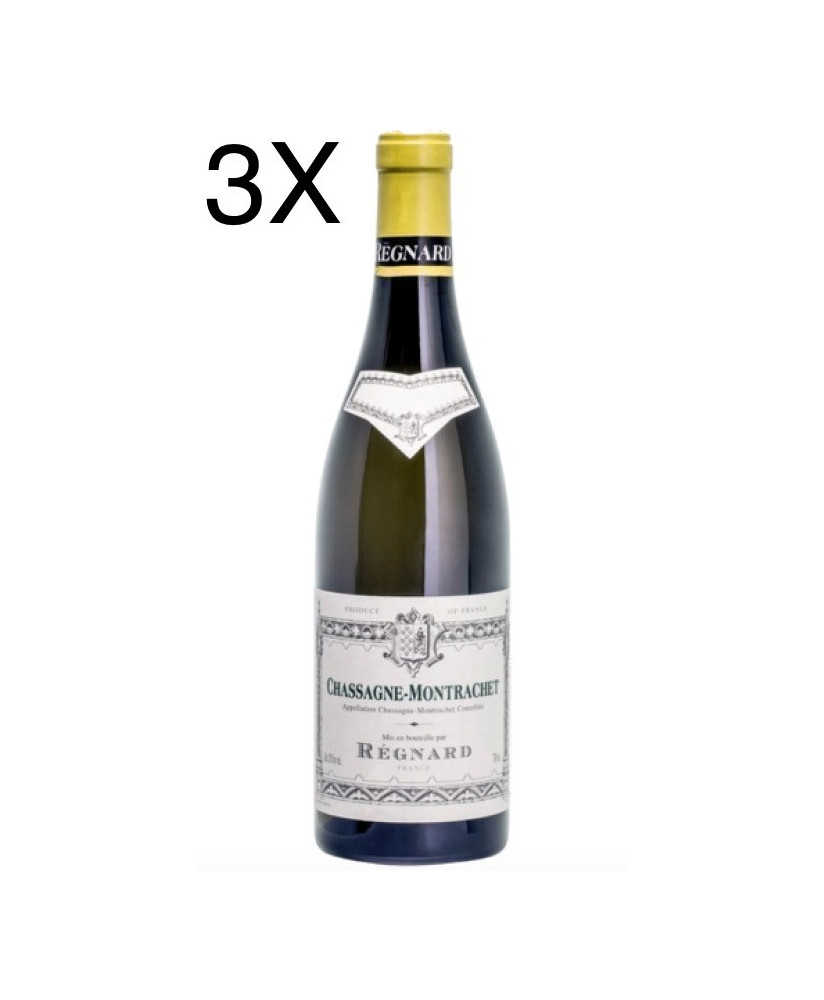 Regnard - Chassagne - Montrachet 2017 - 75cl