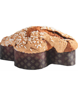 FIASCONARO - COLOMBA ALBICOCCA E CIOCCOLATO - 1000g