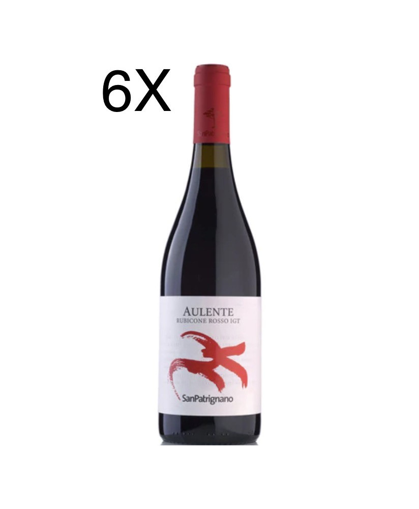 (6 BOTTIGLIE) San Patrignano - Aulente Rosso 2020 - Rosso Rubicone IGT 75cl