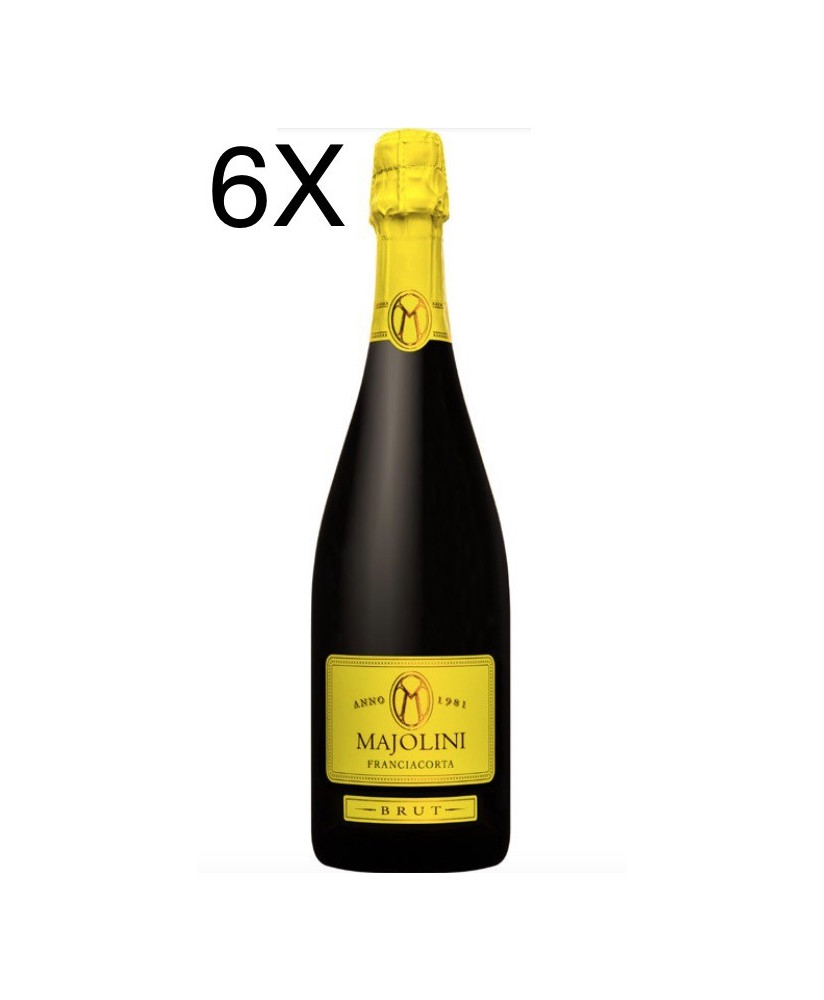 Majolini Brut franciacorta vendita online miglior prezzo | corso101