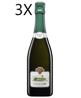 Cavalleri - Saten 2018
