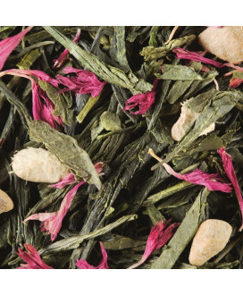 Dammann - Gunpowder - 24 Bustine Termosigillate