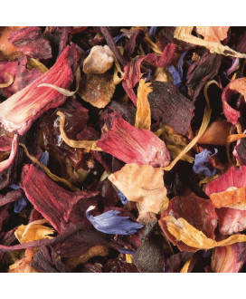 Dammann - Rooibos Citrus - 24 Thermosealed Sachets