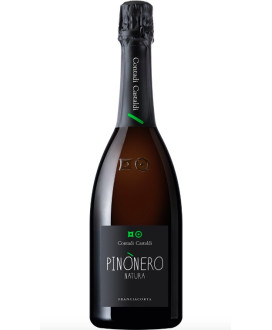 Pinònero Natura - Vendita online Contadi Castaldi Dosaggio Zero. Miglior prezzo on-line Franciacorta