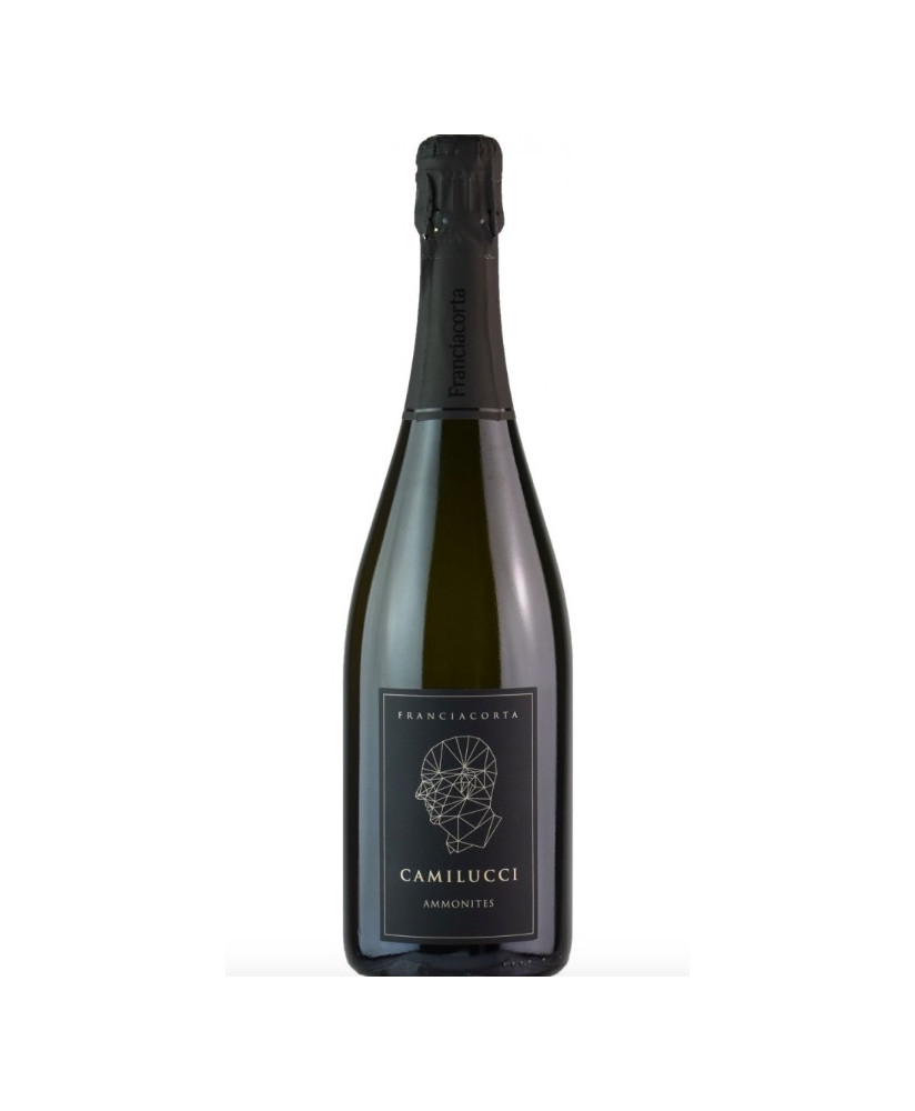 Camilucci - Ammonites - Brut Nature - Franciacorta - 75cl