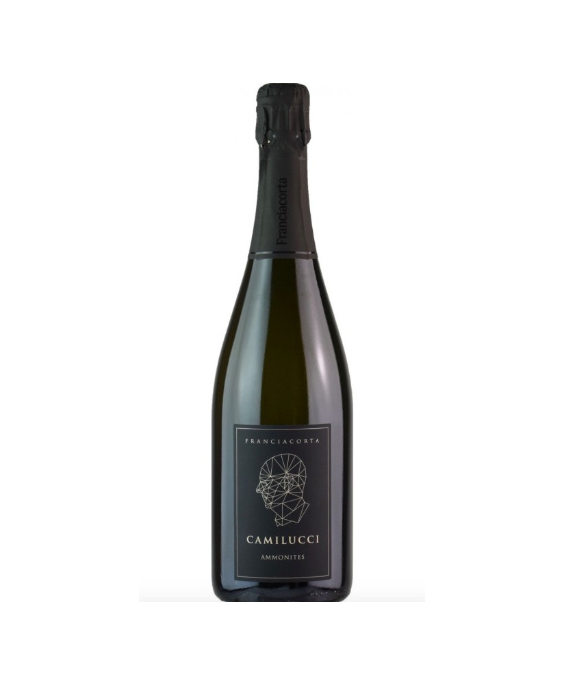 Camilucci - Ammonites - Brut Nature - Franciacorta - 75cl