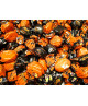 Caffarel - Cappello da Strega con Gelatine di Frutta Halloween - 100g