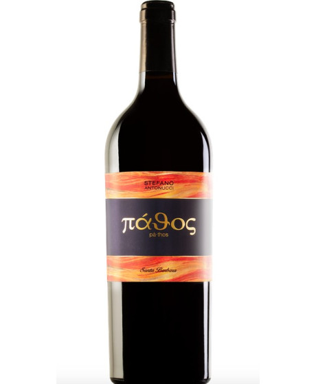 (3 BOTTIGLIE) Santa Barbara - Pathos 2020 - Marche IGT - 75cl