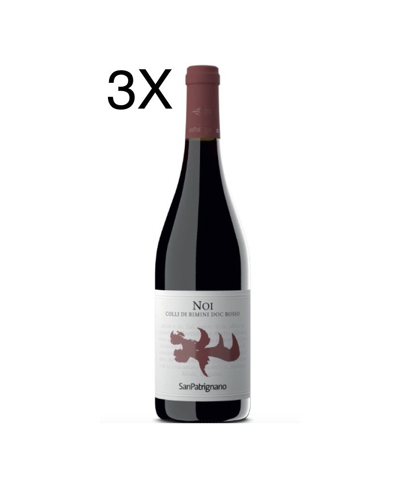 (3 BOTTIGLIE) San Patrignano - Noi 2021 - Colli di Rimini Rosso DOC - 75cl