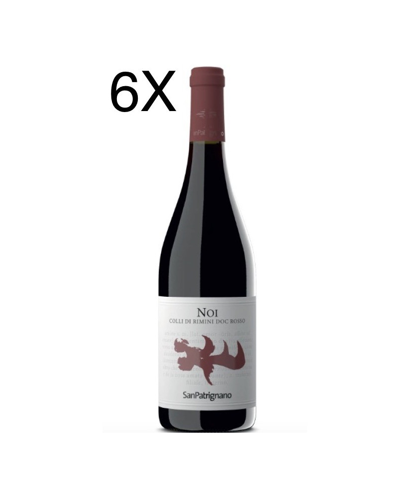 (6 BOTTIGLIE) San Patrignano - Noi 2021 - Colli di Rimini Rosso DOC - 75cl