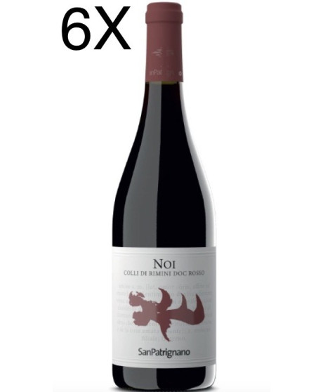 (6 BOTTIGLIE) San Patrignano - Noi 2021 - Colli di Rimini Rosso DOC - 75cl