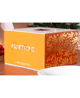 Panettone con cioccolato Domori Vendita online panettoni | corso101 