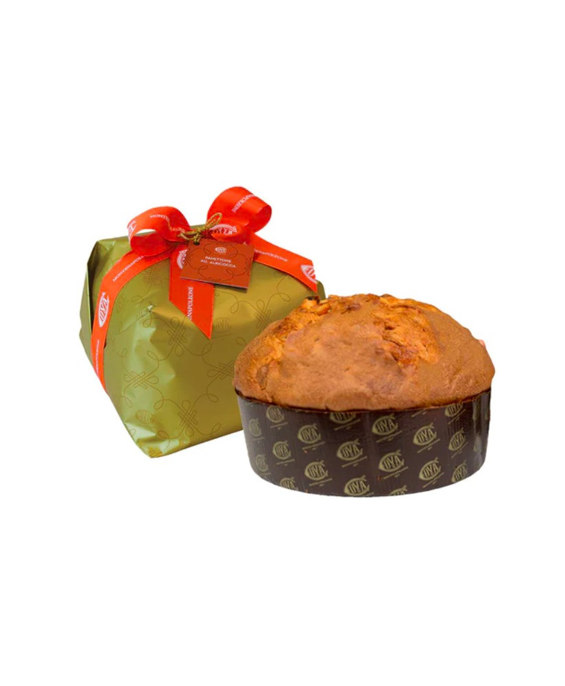 Cova - Panettone Cake with dark chocolate chips - 1000g