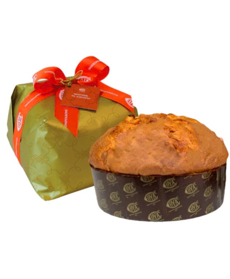 Cova - Panettone all' Albicocca - 1000g