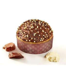 Sal de Riso - Cioccoloso  - Apricot and Vanilla - Christmas Cake - 1000g