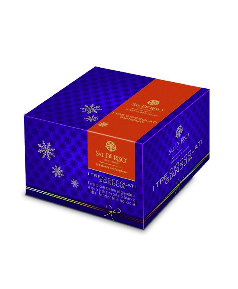 Sal de Riso - Cioccoloso  - Apricot and Vanilla - Christmas Cake - 1000g