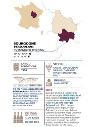 Georges Duboeuf - Beaujolais - Villages Nouveau 2022 - 75cl