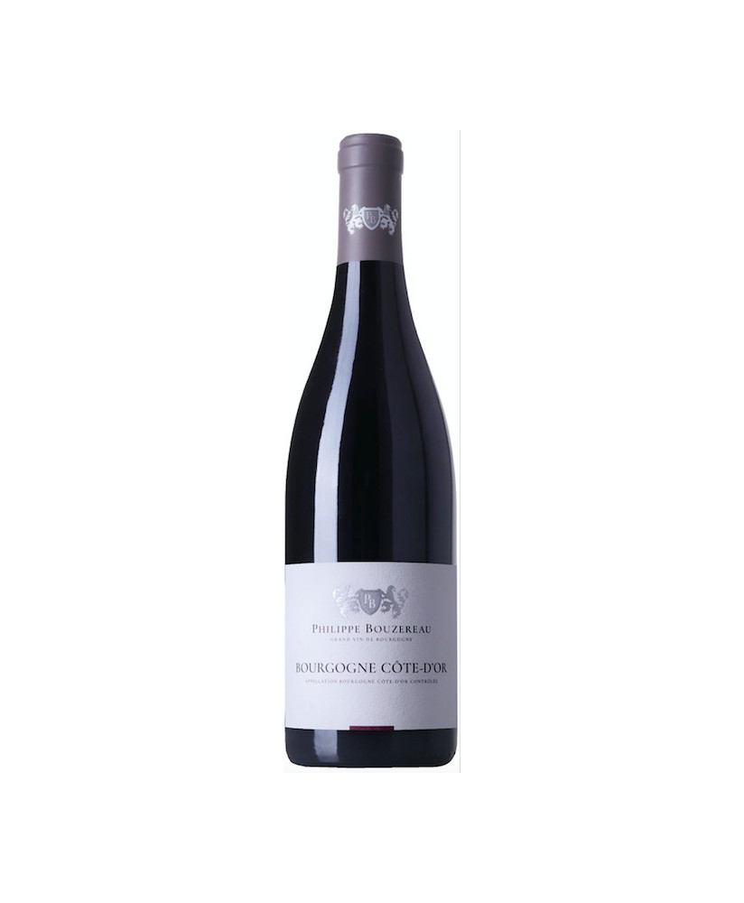 Philippe Bouzereau - Bourgogne Pinot Noir 2019 - 75cl