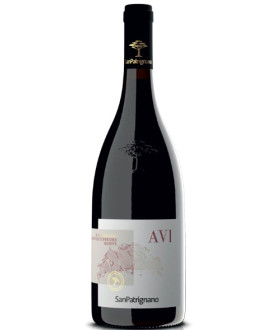 San Patrignano Avi sangiovese riserva vendita online vini rossi  | Corso101.com