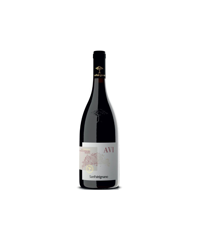 San Patrignano Avi sangiovese riserva vendita online vini rossi  | Corso101.com