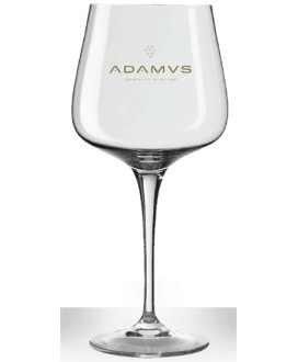 Gin Adamus - 1 Calice da Cocktail