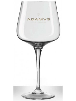 Gin Adamus - 1 Calice da Cocktail