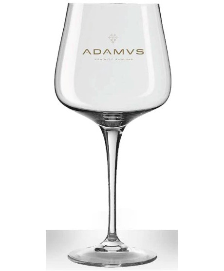 Gin Adamus - 1 Glass - Cocktail