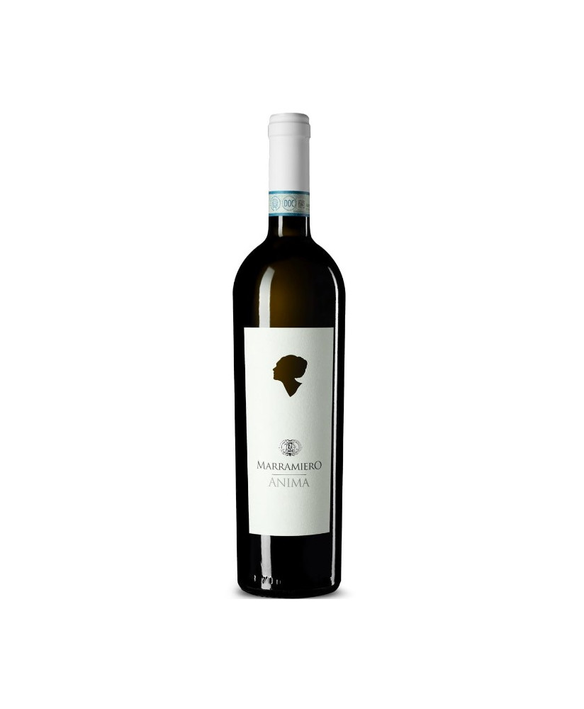Marramiero - Punta di Colle 2021 - Chardonnay Colline Pescaresi IGT - 75cl