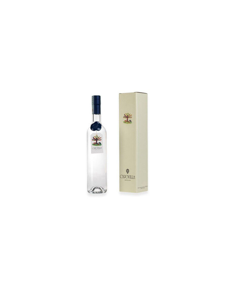 Capovilla - amarone - White Grappa - Gift Box - 50cl