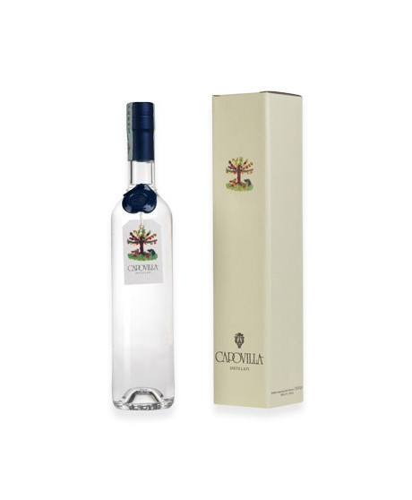 Capovilla - Nebbiolo - White Grappa - Gift Box - 50cl