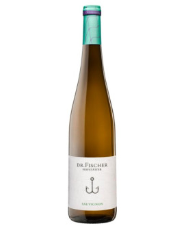 Hofstatter - Dr. Fischer - Riesling Trocken 2022 - 75cl