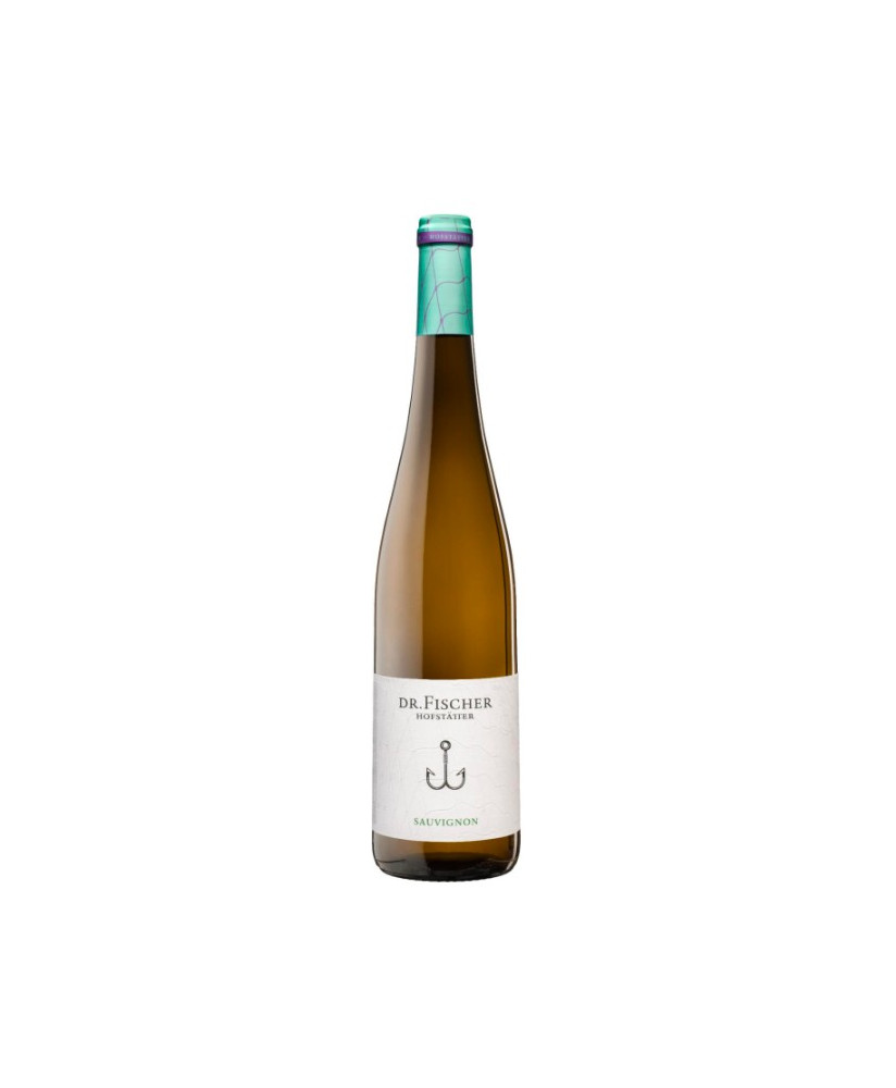 Hofstatter - Dr. Fischer - Riesling Trocken 2022 - 75cl