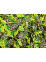 Theobroma - Lime and Ginger Gummy Candies - Sugar-free - 500g