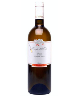 Fattoria San Lorenzo - Campo delle Oche 2019 - Marche IGT - 75cl