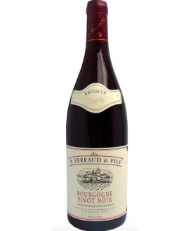 P. Ferraud & Fils - Bourgogne Pinot Noir 2020 - AOP - 75cl