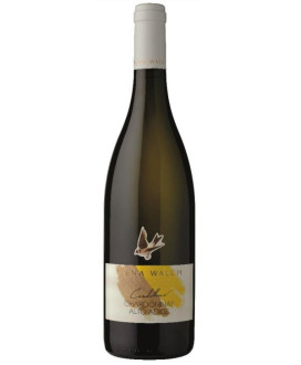 Elena Walch - Chardonnay Cardellino 2021 - Alto Adige DOC - 75cl