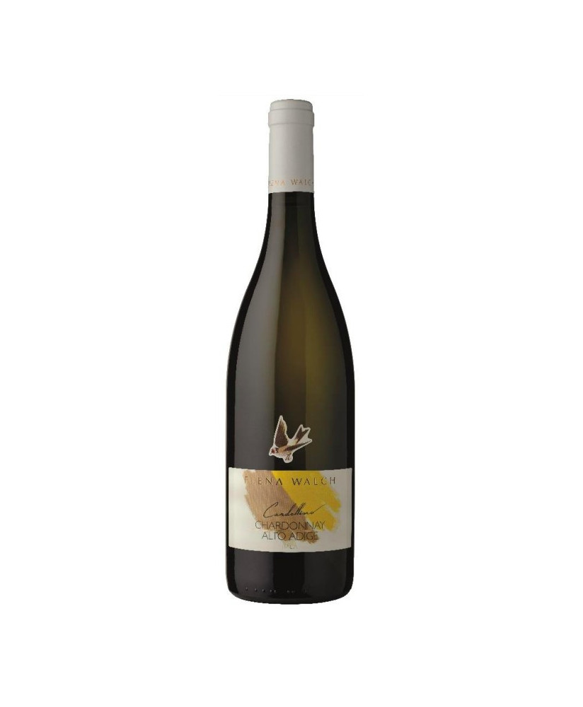 Elena Walch - Chardonnay Cardellino 2021 - Alto Adige DOC - 75cl