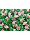 Theobroma - Mini Mint Candies - Sugar-free - 1000g