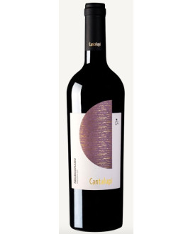 Cantalupi Negroamaro vino rosso pugliese vendita online | corso101