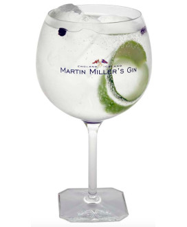 Gin Adamus - 1 Calice da Cocktail