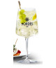 GIN NORDES - 1 Cocktail Glass