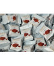 Lindt - Choco Wafer latte - 250g - NOVITA