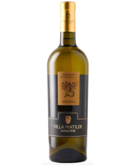 Villa Matilde Falanghina Sinuessa Roccamonfina IGP - 75cl | corso101