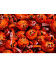 Caffarel - Zucchette Halloween : Formato - 100 grammi