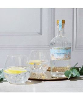 Mars - Wa bi Gin - Astucciato - 70cl