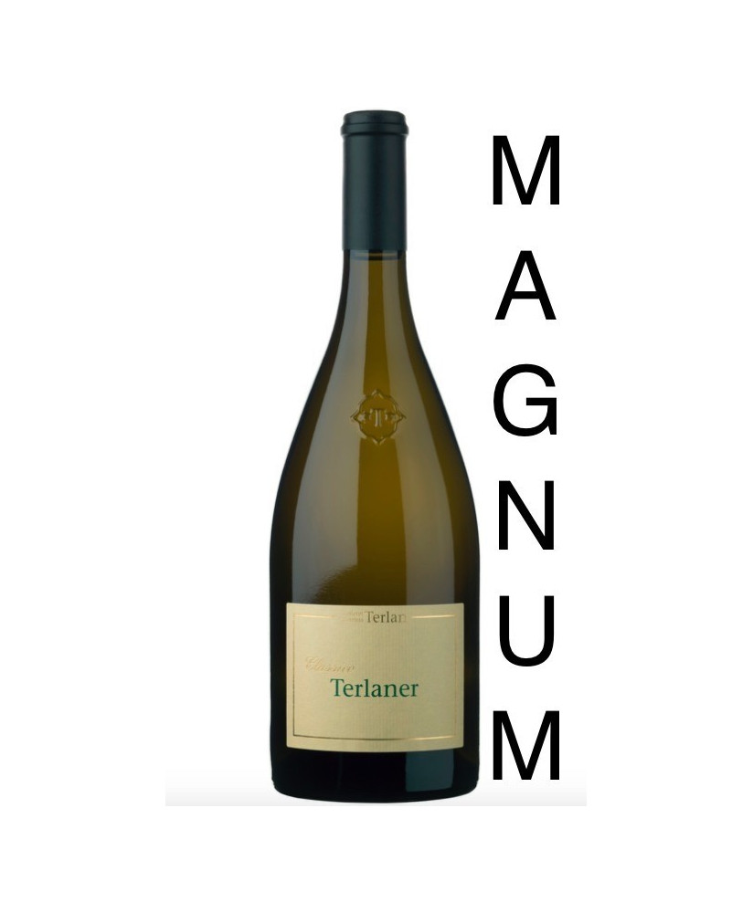 Terlan - Terlaner 2022 - Alto Adige DOC - Terlano - 150cl - Magnum