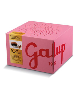 Galup - Panettone Peach, Amaretto and Chocolate - 750g