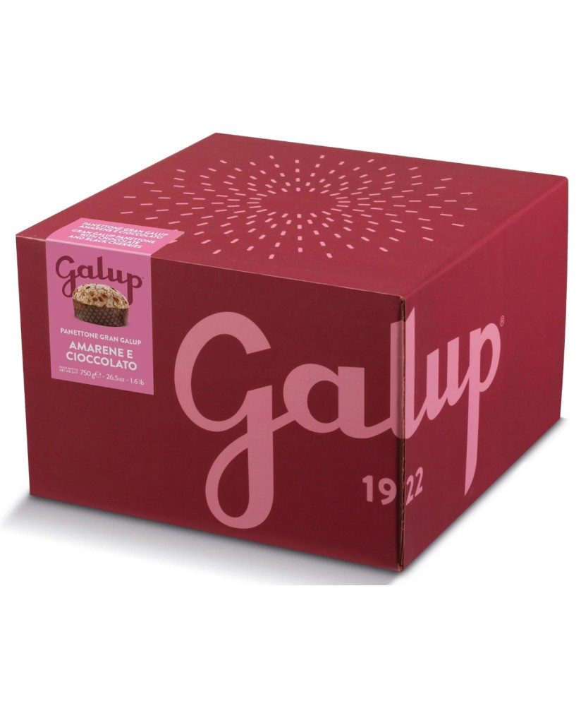 Galup - Panettone Peach, Amaretto and Chocolate - 750g
