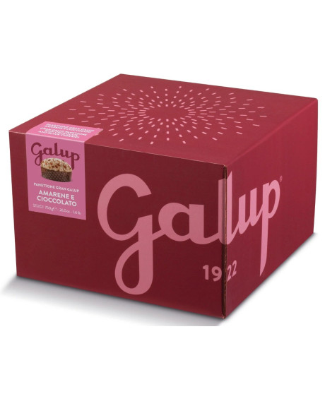 Galup - Panettone Peach, Amaretto and Chocolate - 750g Galup - Panettone Peach, Amaretto and Chocolate - 750g