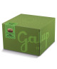 Galup - Panettone Gocce di Cioccolato - 750g